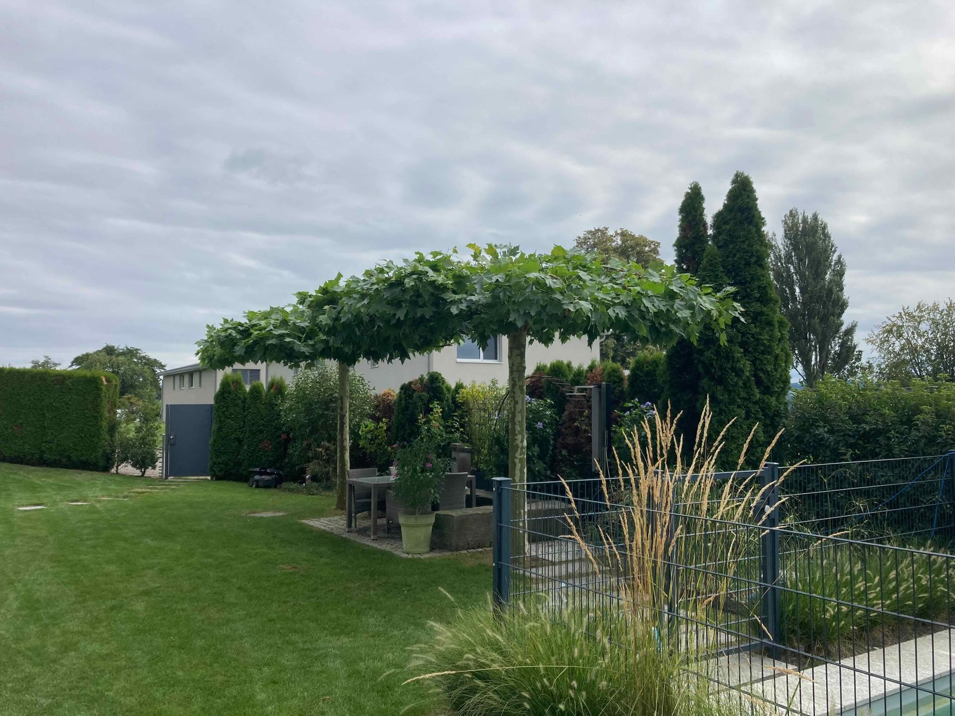 Bepflanzung &amp; Rasen