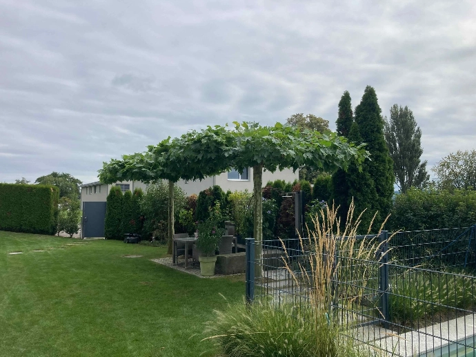 Umgebungsgestaltung Gartenbau Lüscher