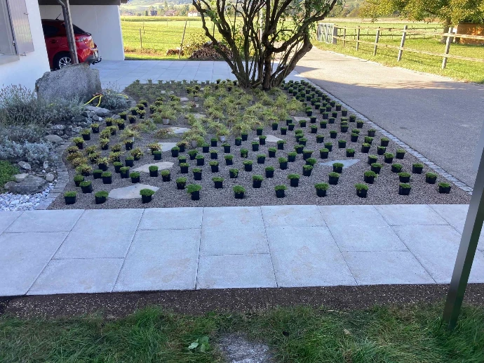 Bepflanzung &amp; Rasen