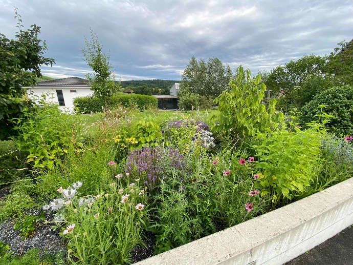 Bepflanzung &amp; Rasen