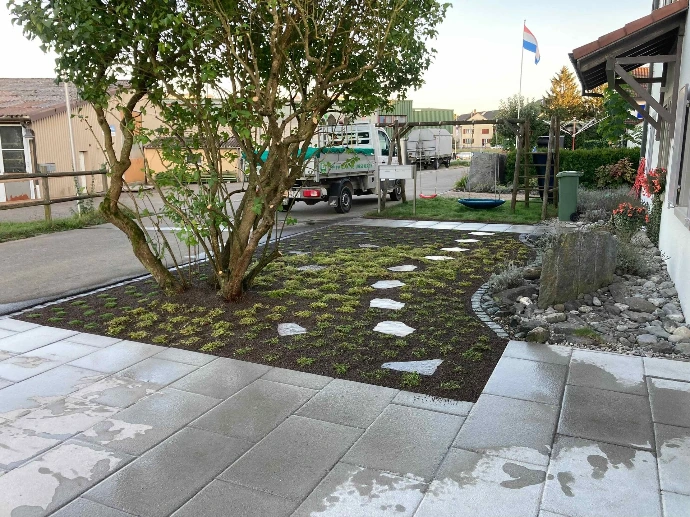 Bepflanzung &amp; Rasen