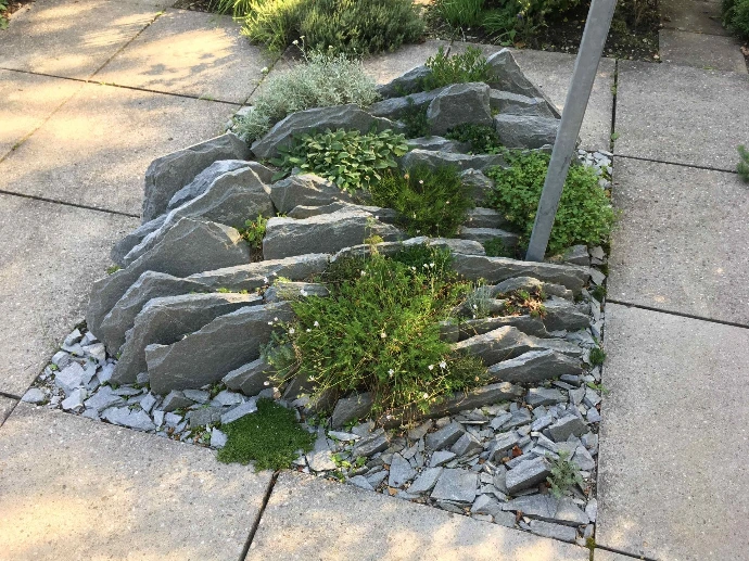 Bepflanzung &amp; Rasen