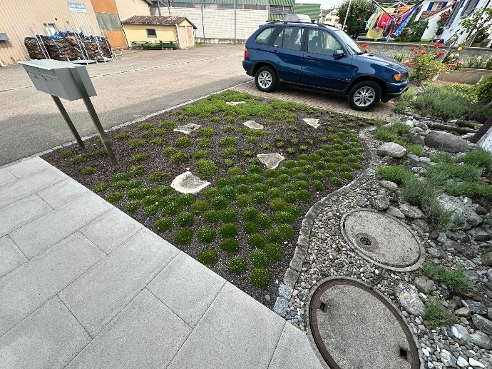 Bepflanzung &amp; Rasen