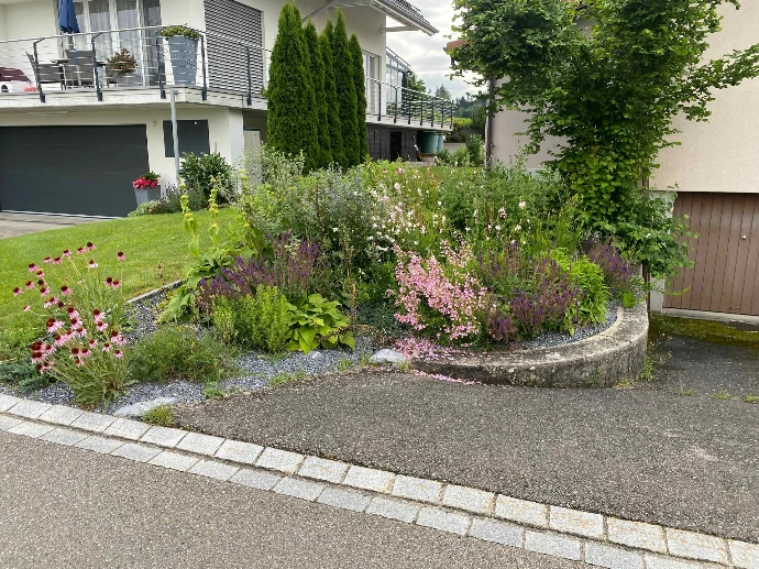 Bepflanzung &amp; Rasen