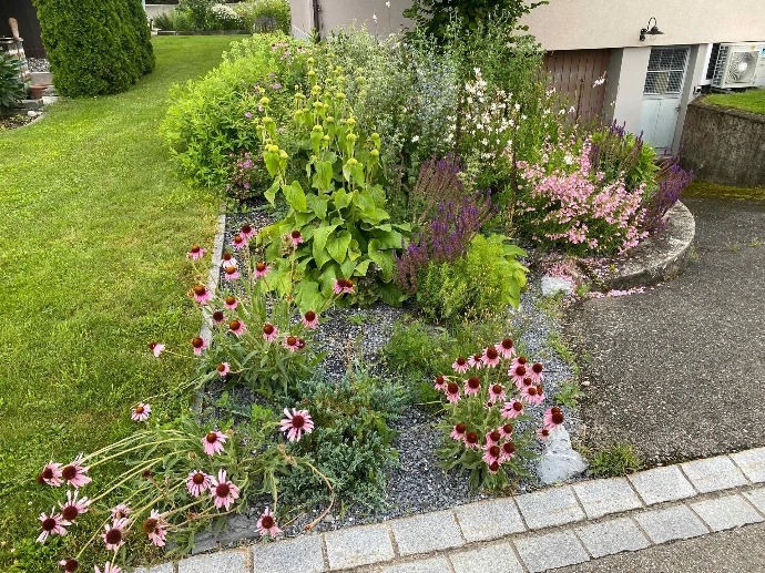 Bepflanzung &amp; Rasen