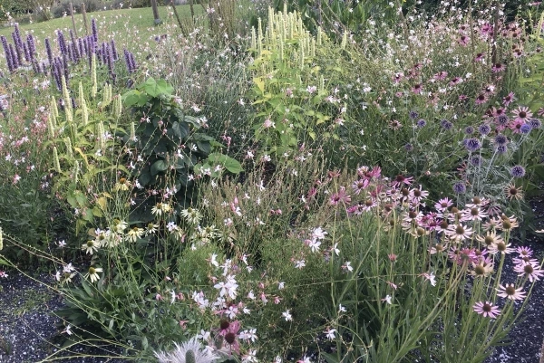 Bepflanzung &amp; Rasen