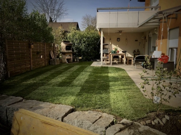 Bepflanzung &amp; Rasen