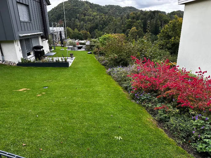 Bepflanzung &amp; Rasen