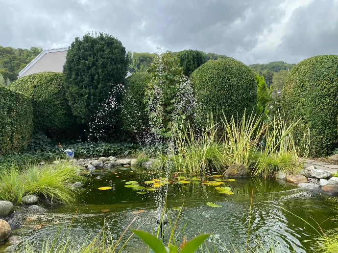 Gartenbau Element Wasser