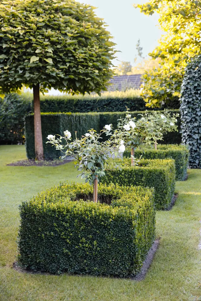 Gartenpflege und Abo Winterthur