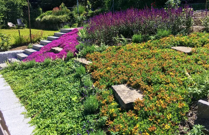 Gartenpflege und Abo Winterthur