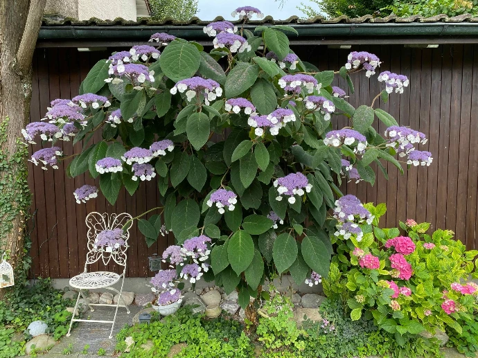 Gartenpflege und Abo Winterthur