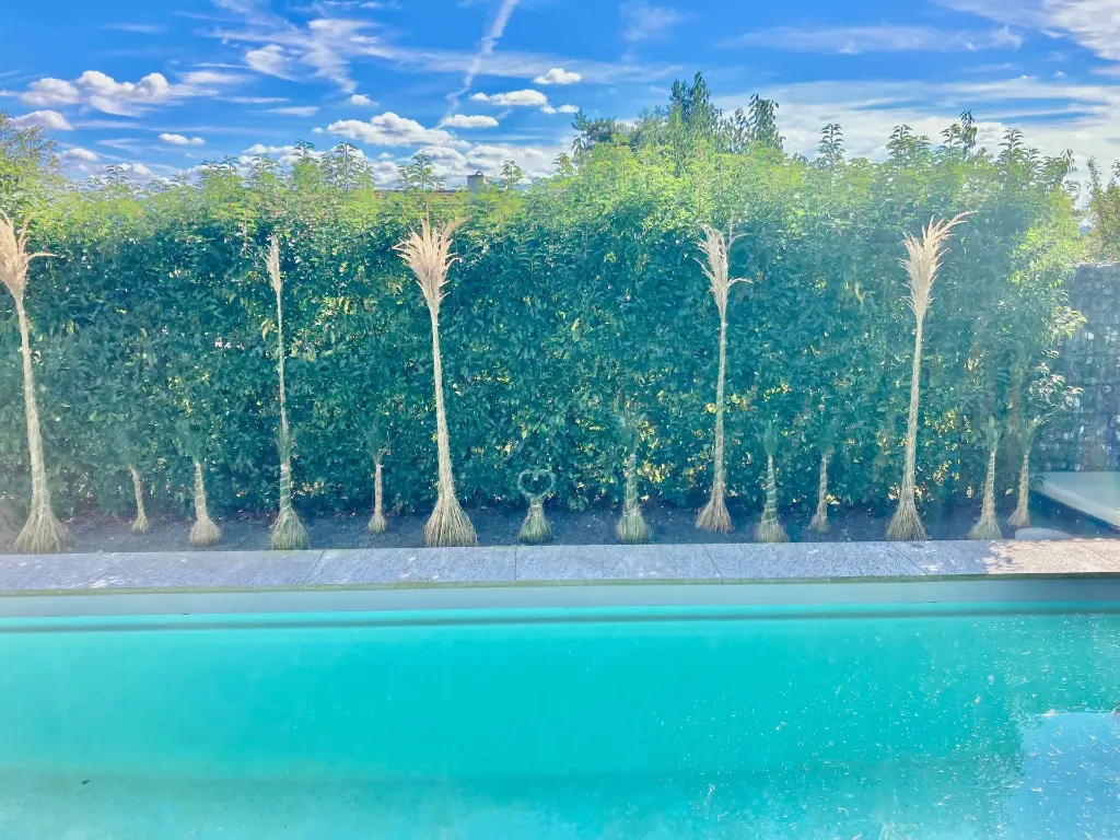 Gartenpflege und Abo Winterthur