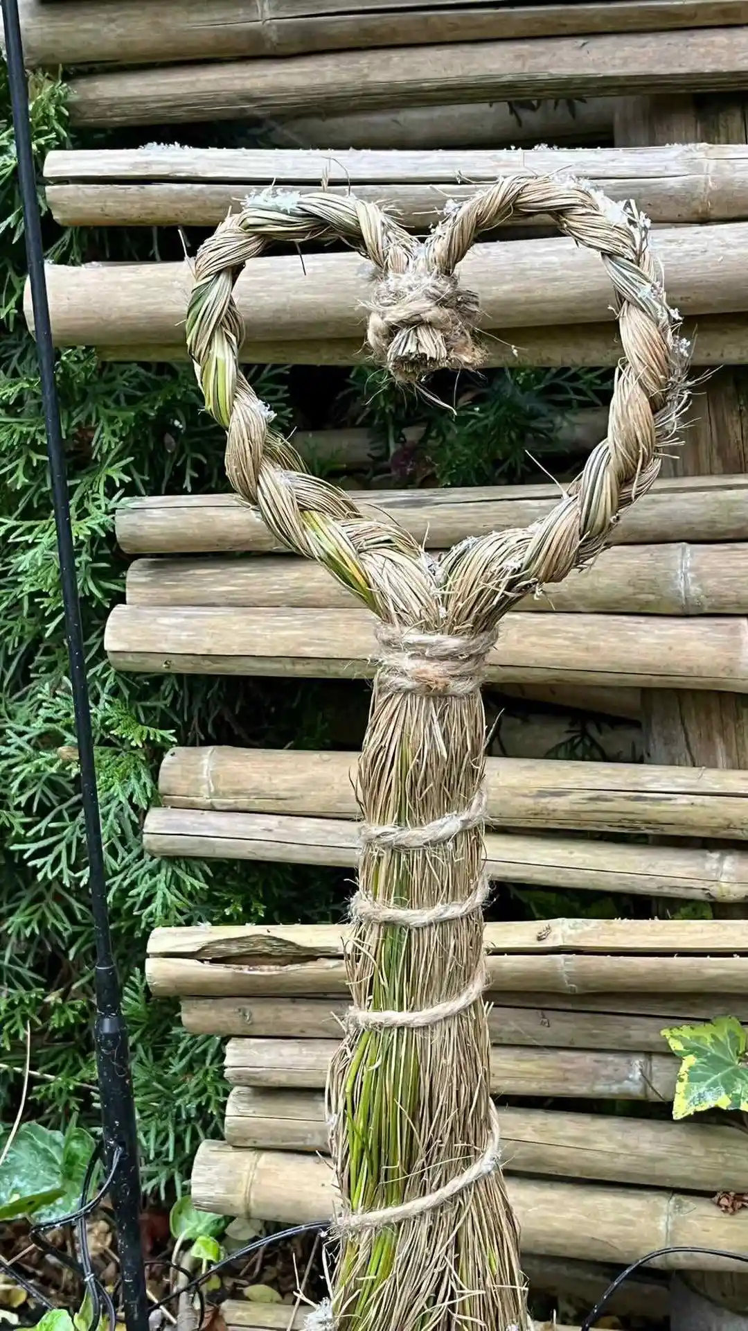 Gartenpflege und Abo Winterthur