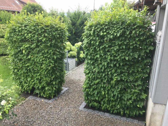 Sichtschutz, Zäune &amp; Tore