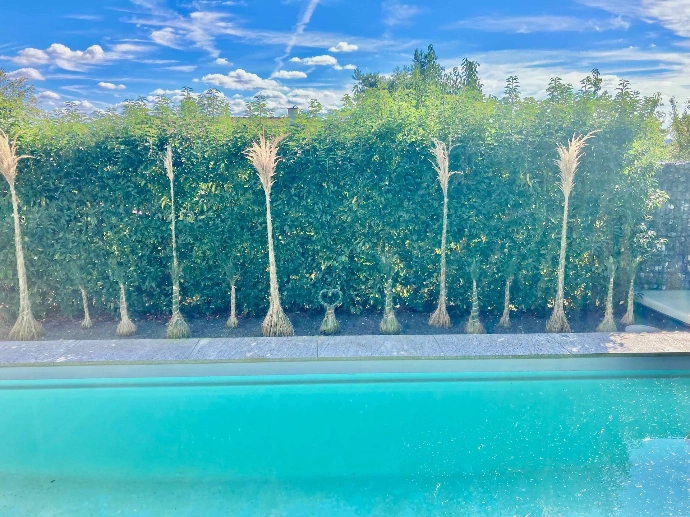 Sichtschutz, Zäune &amp; Tore