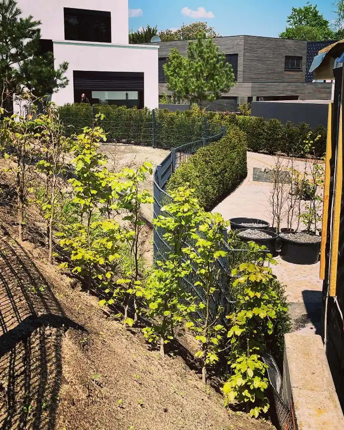 Sichtschutz, Zäune &amp; Tore