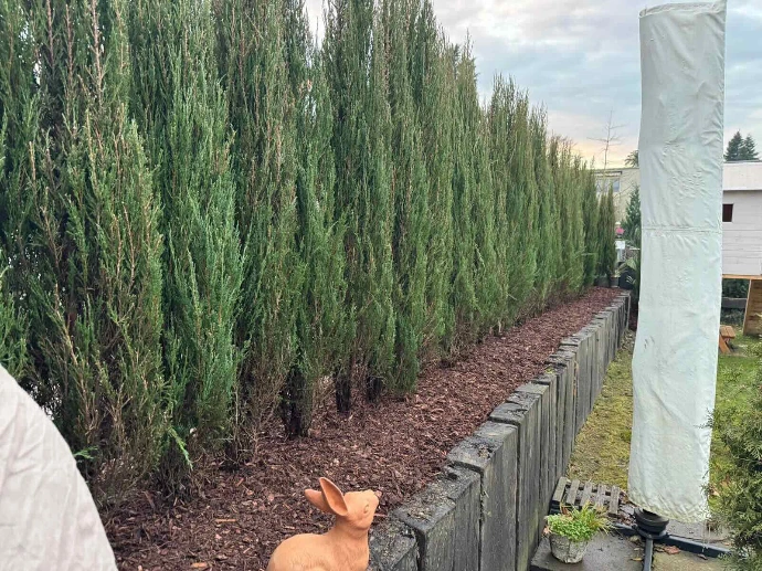 Sichtschutz, Zäune &amp; Tore