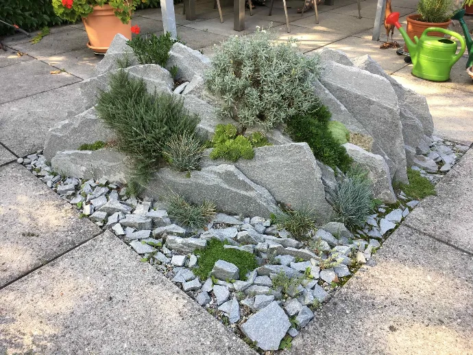 Bepflanzung &amp; Rasen