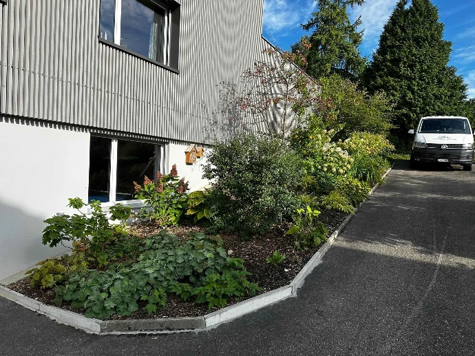 Bepflanzung &amp; Rasen