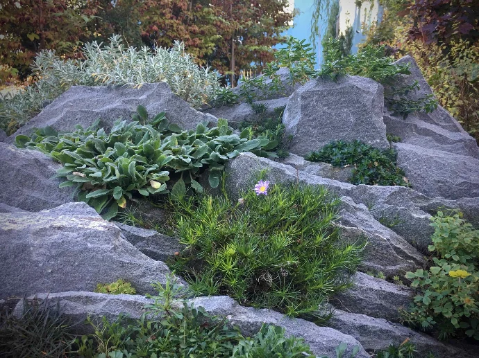 Bepflanzung &amp; Rasen