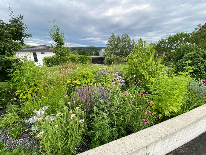 Bepflanzung &amp; Rasen