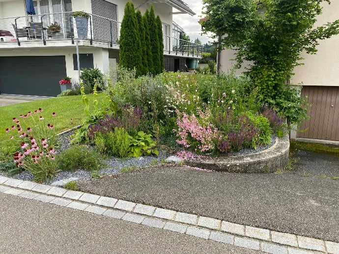 Bepflanzung &amp; Rasen