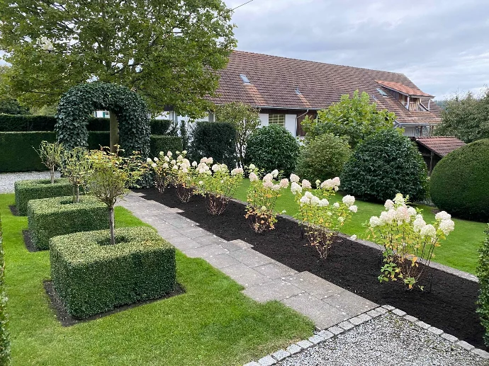 Bepflanzung &amp; Rasen