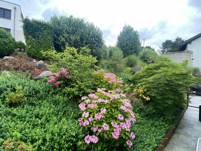 Bepflanzung &amp; Rasen