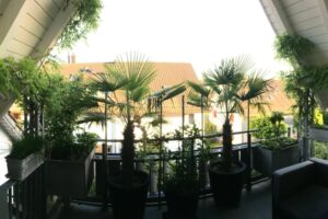 Bepflanzung Balkon