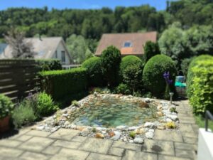 Gartenteich mit Springbrunnen Fontaene
